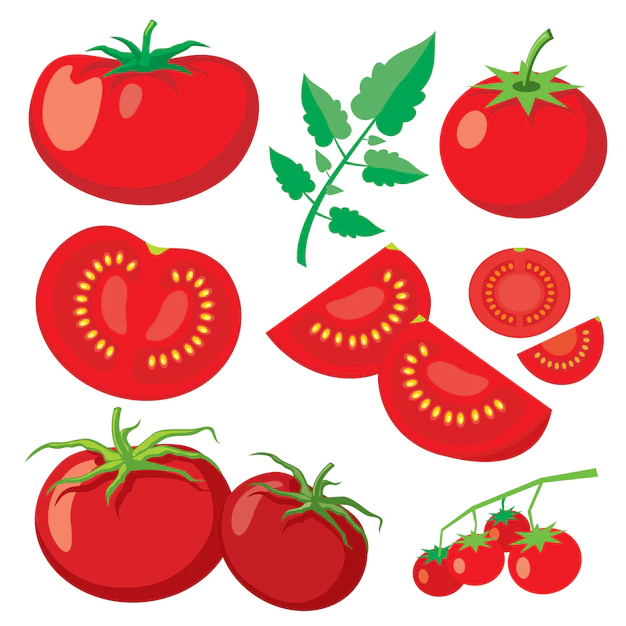 Free Vector | Vector fresh tomatoes in flat style. healthy vegetable food, organic ripe fresh natural illustration
