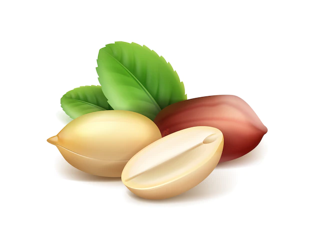 Free Vector | Vector realistic peanut kernels with leaves closeup side view isolated on white background