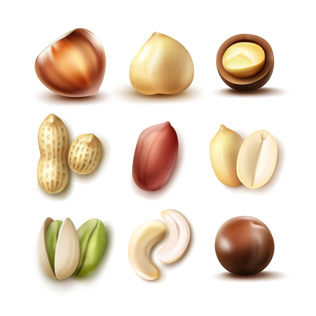 Free Vector | Vector set of different nuts: whole and half hazelnut, macadamia, pistachio, peanuts, cashew top, side view isolated on white background