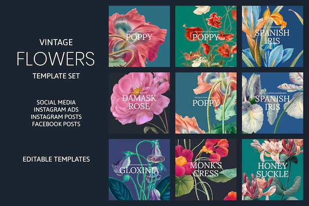 Free Vector | Vintage flower vector template set, remixed from public domain artworks
