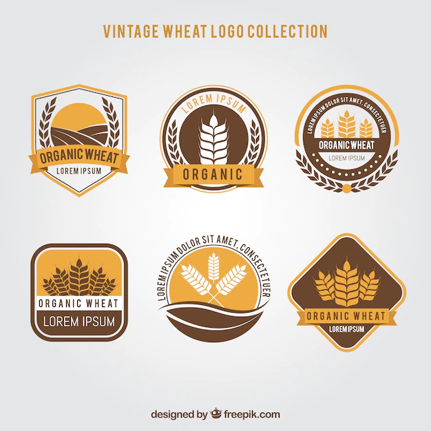 Free Vector | Vintage wheat logo collection