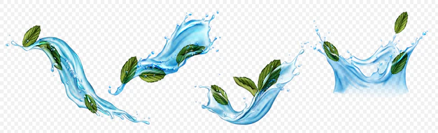 Free Vector | Water splashes with menthol or mint leaves set