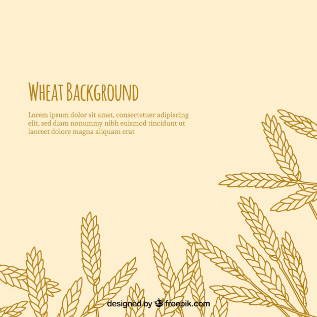Free Vector | Wheat background in hand drawn style