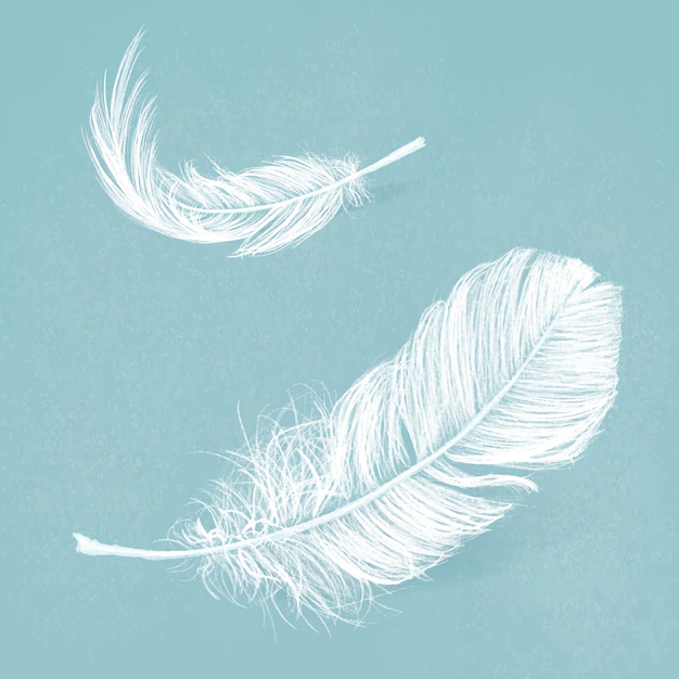 Free Vector | White feather vector graphic in blue background