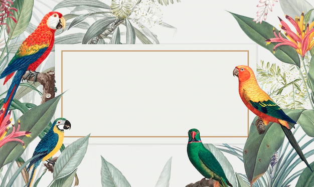 Free PSD | Macaw tropical mockup illustration