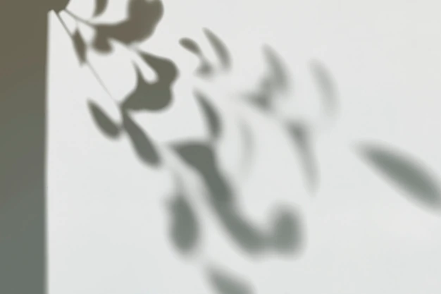Free PSD | Shadow of leaves on a wall