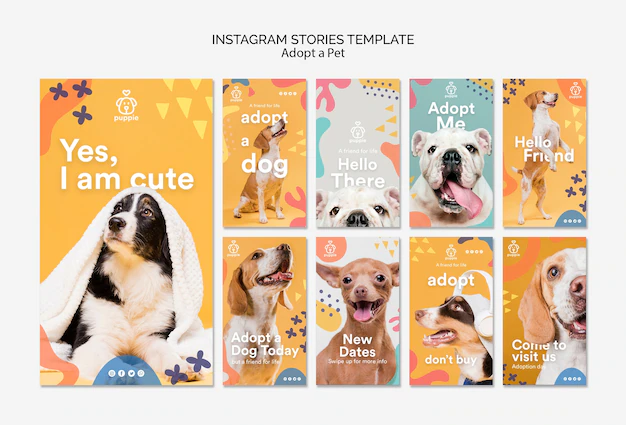 Free PSD | Adopt a pet instagram stories