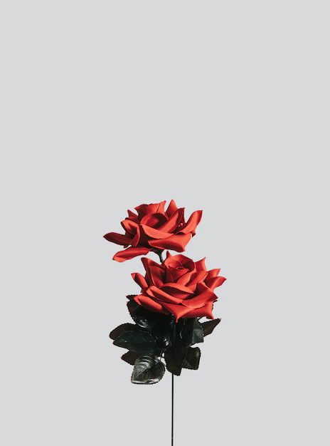 Free PSD | Artificial red roses