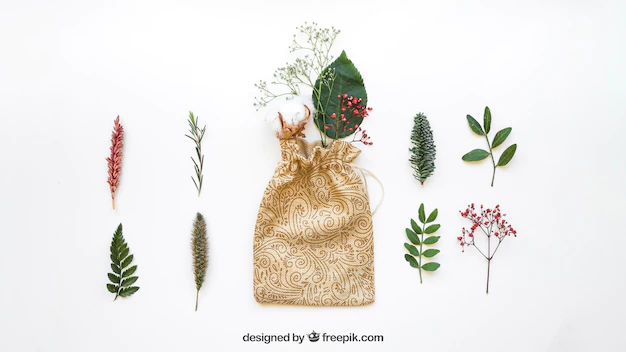 Free PSD | Bag mockup and different leaves