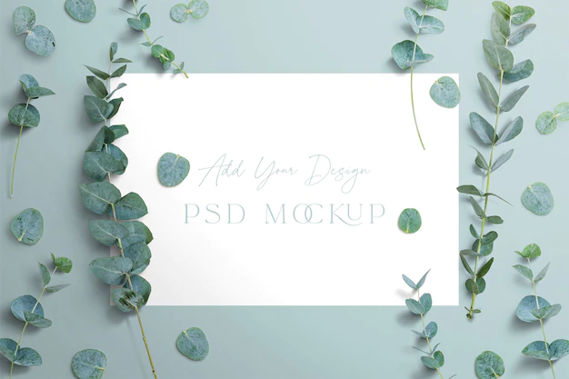 Free PSD | Eucalyptus branches with sign template