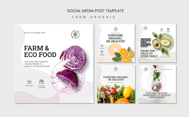 Free PSD | Farm organic social media post template