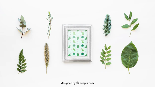 Free PSD | Frame mockup with leaves