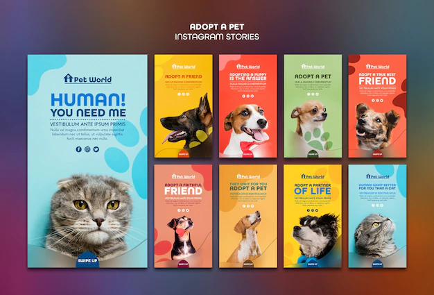 Free PSD | Instagram stories set for pet adoption with animals