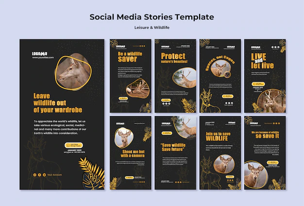 Free PSD | Leisure and wildlife instagram stories template