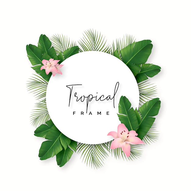 Free PSD | Lovely natural frame with tropical leaves