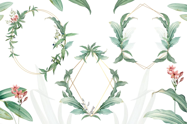 Free PSD | Set of empty frames with green leaves design