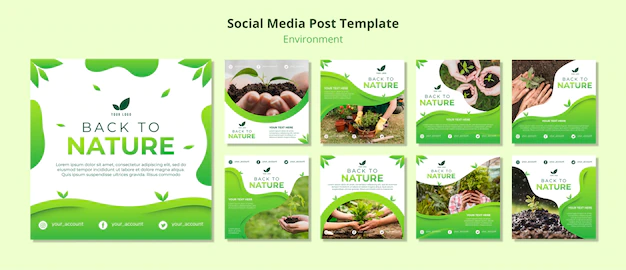 Free PSD | Social media post template about nature