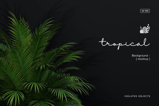 Free PSD | Summer background mockup decorated with tropical plant
