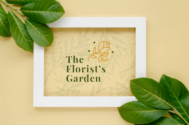 Free PSD | Top view frame with botanical leaves