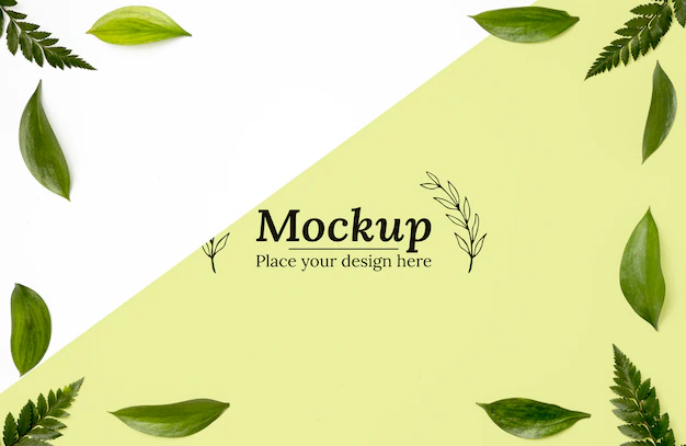 Free PSD | Top view of frame mock-up with leaves