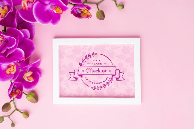 Free PSD | Top view of orchid with frame