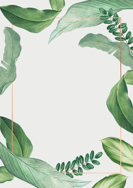 Free PSD | Tropical leaves frame