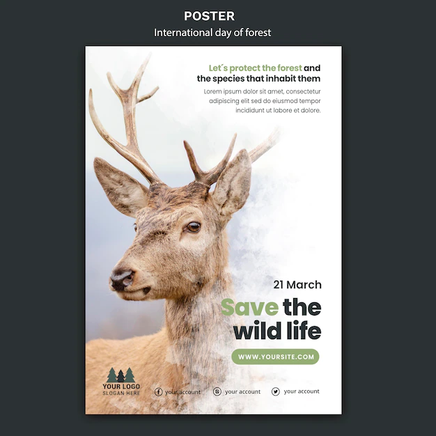 Free PSD | World forest day poster template