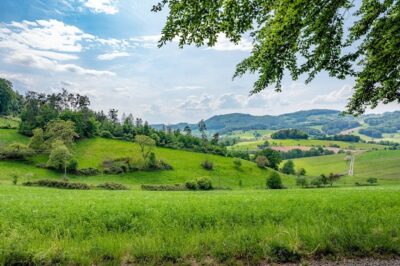 Free Photo | The odenwald in germany is pure nature