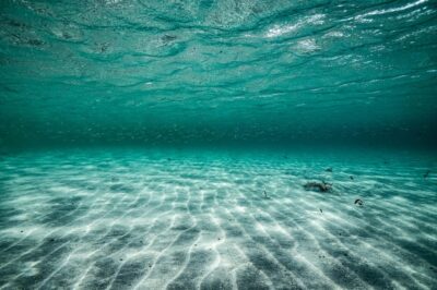Free Photo | Turquoise underwater world texture background