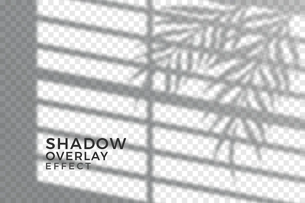 Free Vector | Abstract transparent shadows concept