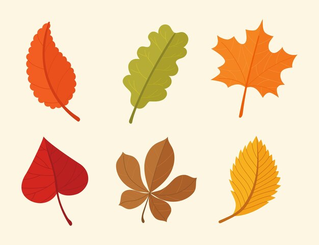 Free Vector | Autumn leaves collection