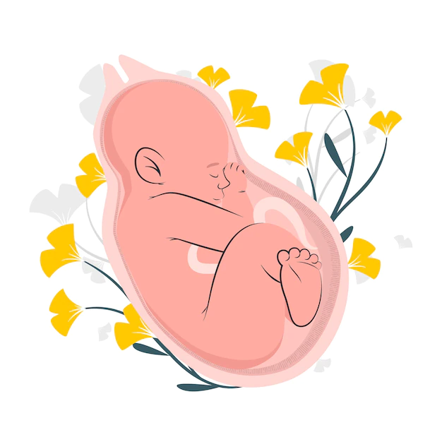 Free Vector | Baby birth concept illustration
