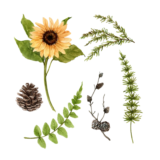 Free Vector | Beautiful creative autumn watercolor illustration  for decorative use.