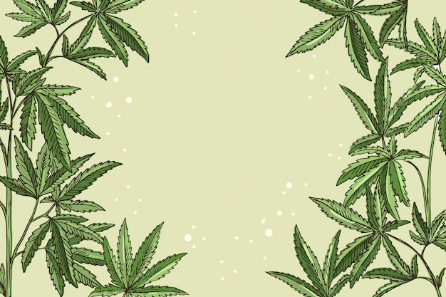 Free Vector | Botanical cannabis leaf wallpaper with empty space