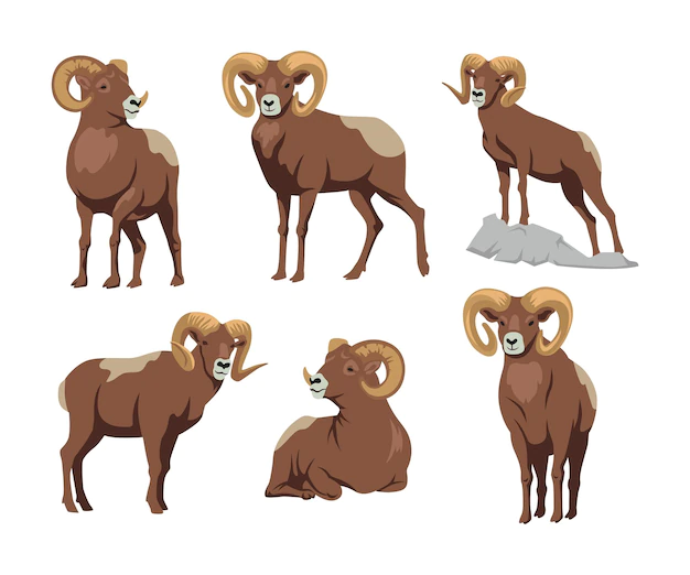 Free Vector | Brown bighorn in different poses cartoon illustration set. ram, sheep, mascot with big horns sitting and standing flat vector illustration isolated on white background. animal, aggression concept