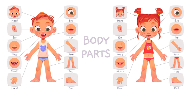 Free Vector | Cartoon kids body part collection