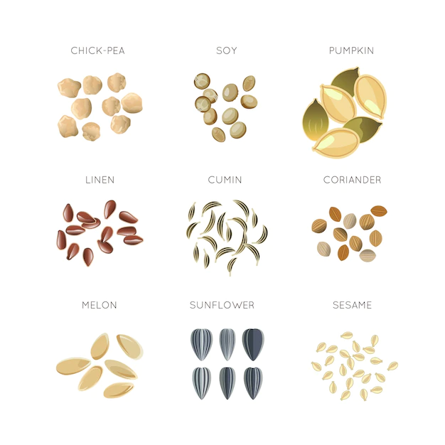 Free Vector | Cereal grains flat vector set. chick-pea and linen, cumin and coriander, melon and sesame