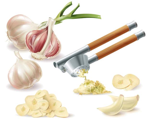 Free Vector | Clipart with sprouted head of garlic, peeled cloves, chopped slices and metal press