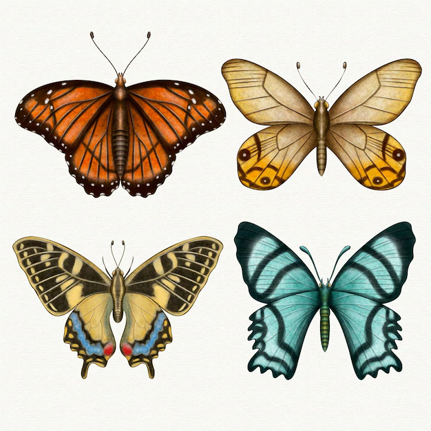 Free Vector | Collection of different watercolor butterflies