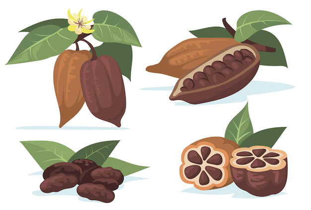 Free Vector | Colorful cocoa beans flat illustration set.