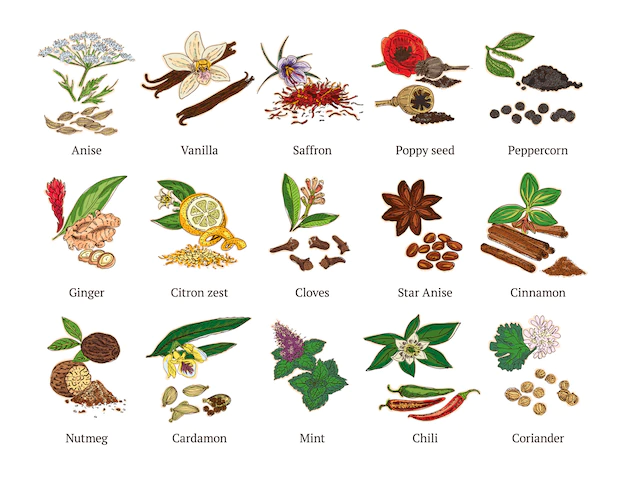 Free Vector | Colorful sketch healthy spices collection