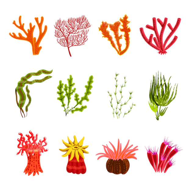 Free Vector | Coral icons set