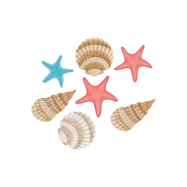 Free Vector | Cute seashells on the sea in white