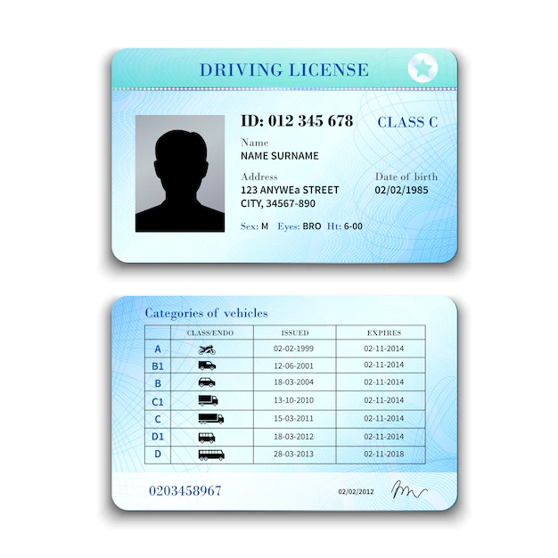 Free Vector | Driver license illustration