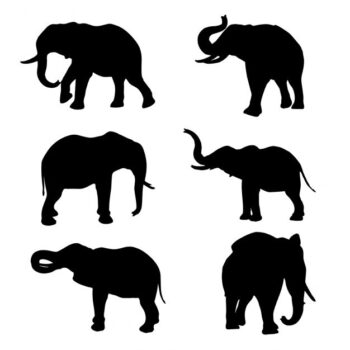 Free Vector | Elephant silhouette collection