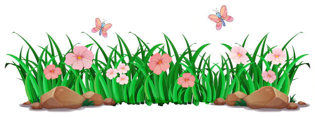 Free Vector | Flower and grass for decor