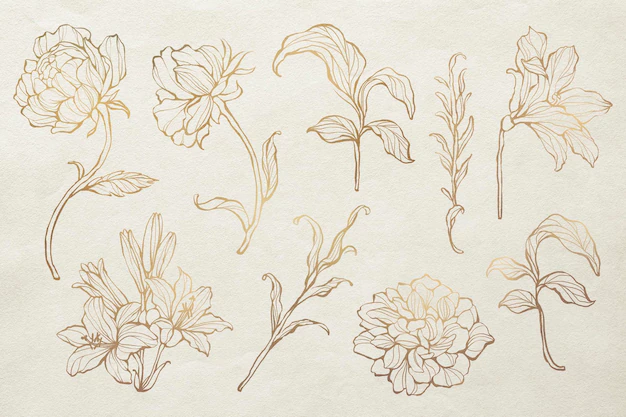 Free Vector | Gold floral outline set