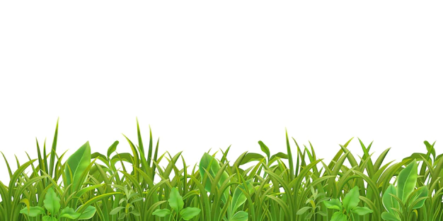 Free Vector | Grass leaves seamless pattern