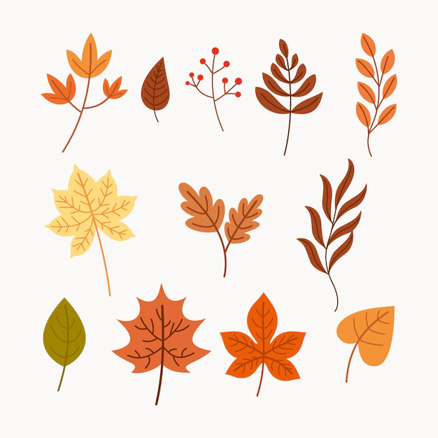 Free Vector | Hand drawn autumn leaves collection