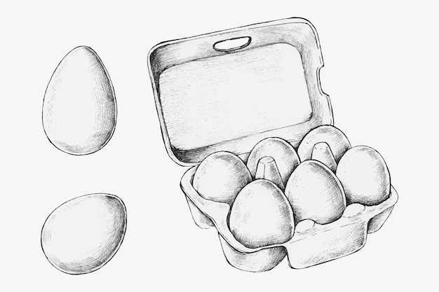 Free Vector | Hand-drawn egg box